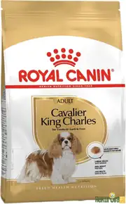 Royal Canin Cavalier King Charles 1.5 kg Yetişkin Köpek Maması