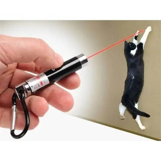 3 in 1 Kedi Oyun Lazeri