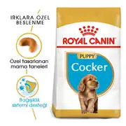 Royal Canin Cocker Yavru Köpek Maması 3 KG