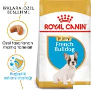 Royal Canin French Bulldog Junior Yavru Köpek Maması 3kg