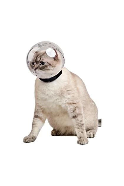 Ürün görseli: Kedi Bakım ve Koruma Küresi