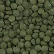 Sera Plankton Tabs Nature 100 Adet - Kovadan Bölme