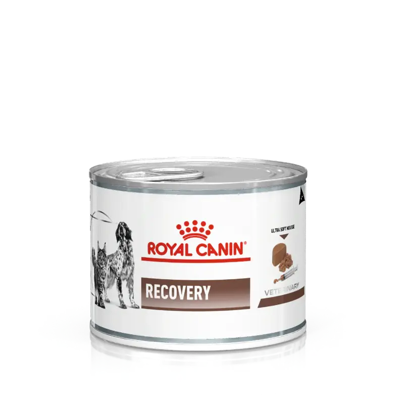 Ürün görseli: Royal Canin 195 gr Recovery Kedi Köpek Konservesi 195 gr x 6