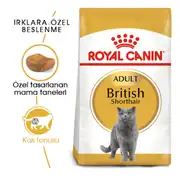 Royal Canin British Shorthair Yetişkin Kedi Maması 2kg