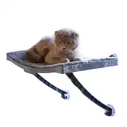 Atapet Cam İçin Vantuzlu Plastik Kedi Yatağı
