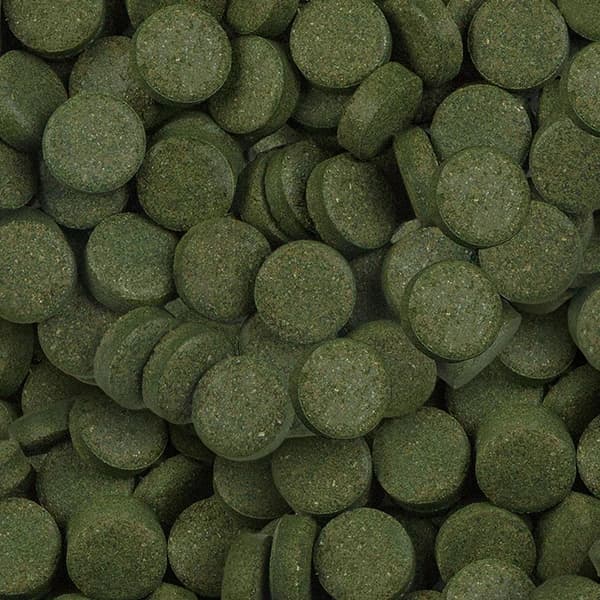 Ürün görseli: Sera Spirulina Tabs 100 adet - Kovadan Bölme
