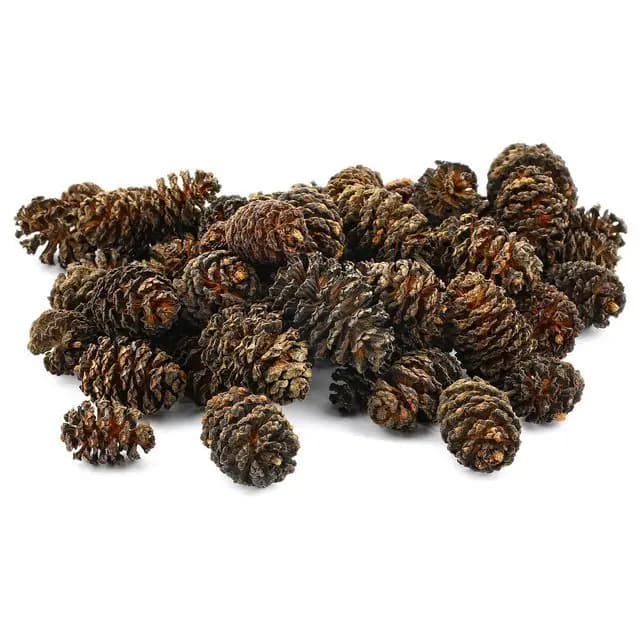 Ürün görseli: Kızılağaç Kozalağı 200 gr