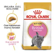 Royal Canin Kitten British Shorthair 2 kg Yavru Kedi Maması