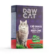 Dawcat Doğal Kedi Çimi (Fileli) - 6 Adet