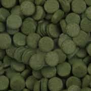 Sera Spirulina Tabs 250 adet - Kovadan Bölme
