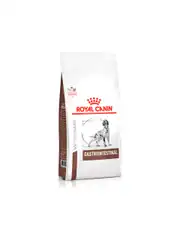Royal Canin Veterinary Gastrointestinal 2 kg Köpek Maması