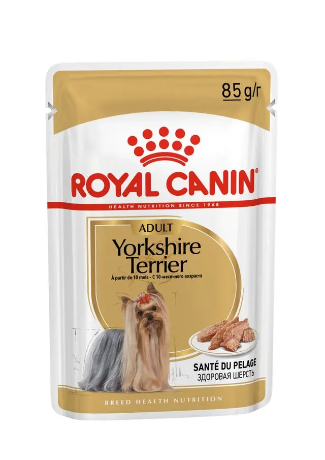 Ürün görseli: Yorkshire Terrier Yetişkin Köpek Yaş Maması 85 Gr