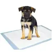 Setaş 30'lu Köpek Çiş Pedi