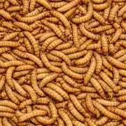 Canlı Un Kurdu 1 Kg