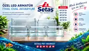 Setaş 5'li Set İthal Bombeli Akvaryum + 5 Adet Led Aydınlatma 