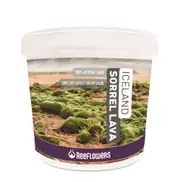 Reeflowers Iceland Sorrel Lava 1-3mm 15Kg