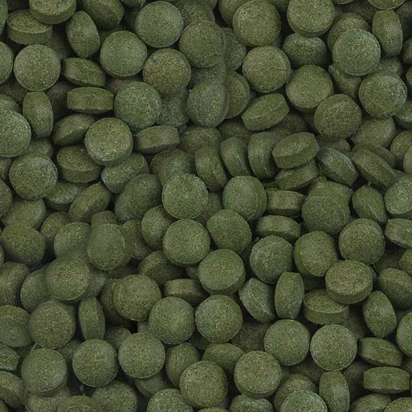 Ürün görseli: Sera Plankton Tabs Nature 250 Adet - Kovadan Bölme